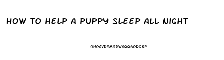 How To Help A Puppy Sleep All Night