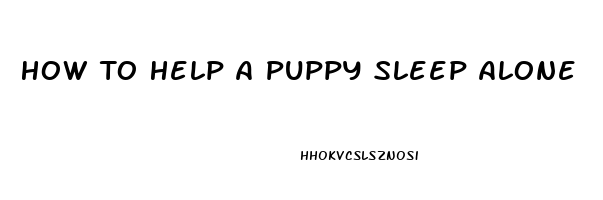 How To Help A Puppy Sleep Alone