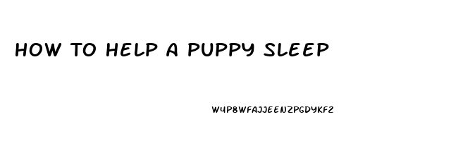 How To Help A Puppy Sleep