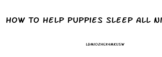 How To Help Puppies Sleep All Night