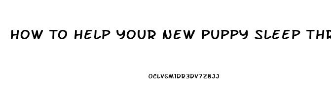 How To Help Your New Puppy Sleep Through The Night