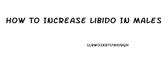 How To Increase Libido In Males Naturally