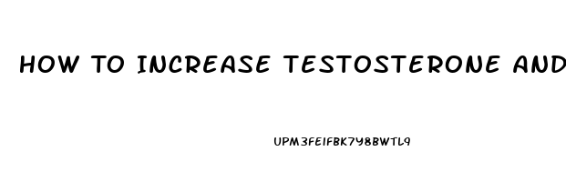 How To Increase Testosterone And Libido