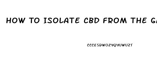 How To Isolate Cbd From The Gallon Of Oil