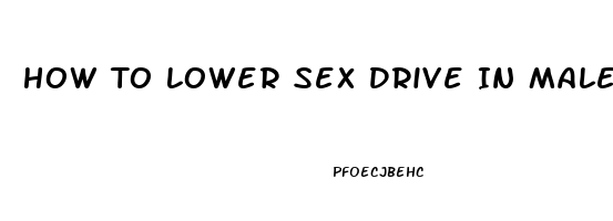 How To Lower Sex Drive In Males