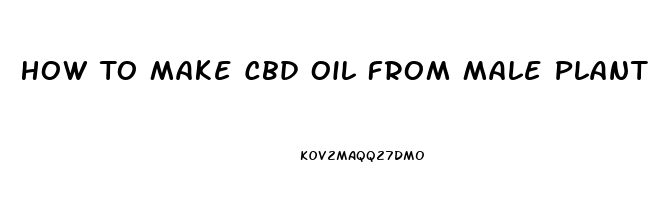 How To Make Cbd Oil From Male Plant