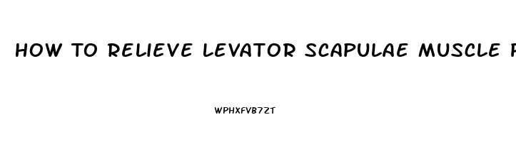 How To Relieve Levator Scapulae Muscle Pain