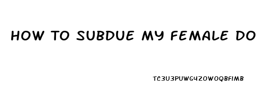 How To Subdue My Female Dogs Libido