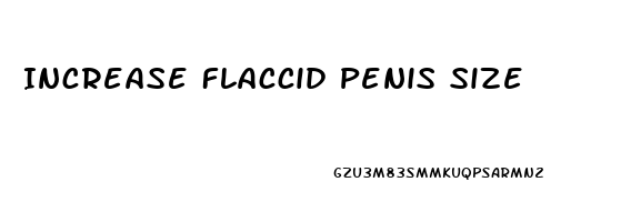 Increase Flaccid Penis Size