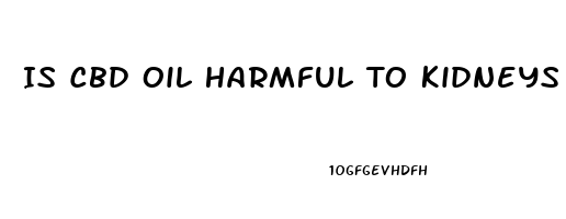 Is Cbd Oil Harmful To Kidneys Or Liver