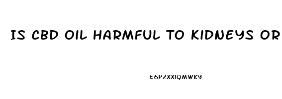 Is Cbd Oil Harmful To Kidneys Or Liver