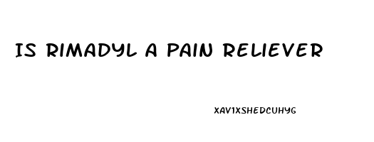 Is Rimadyl A Pain Reliever