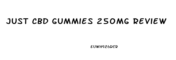 Just Cbd Gummies 250mg Review