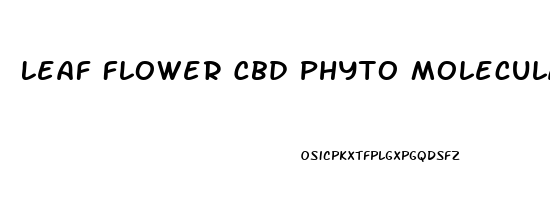 Leaf Flower Cbd Phyto Molecular Oil