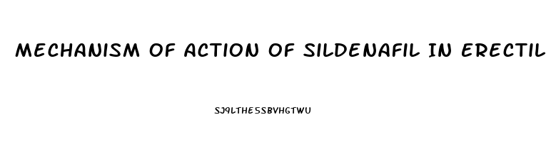Mechanism Of Action Of Sildenafil In Erectile Dysfunction