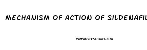 Mechanism Of Action Of Sildenafil In Erectile Dysfunction