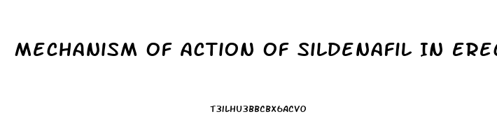 Mechanism Of Action Of Sildenafil In Erectile Dysfunction