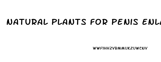 Natural Plants For Penis Enlargement