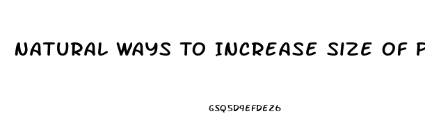 Natural Ways To Increase Size Of Penis