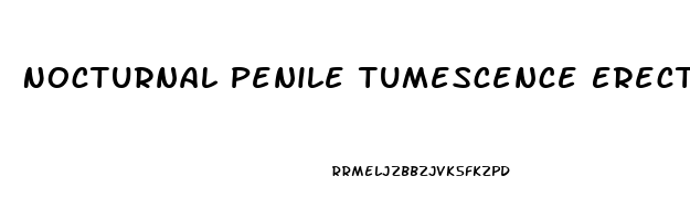 Nocturnal Penile Tumescence Erectile Dysfunction