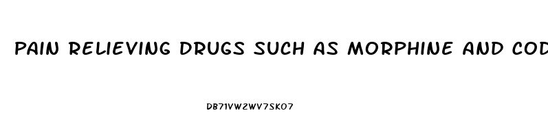 Pain Relieving Drugs Such As Morphine And Codeine Are Derived From 