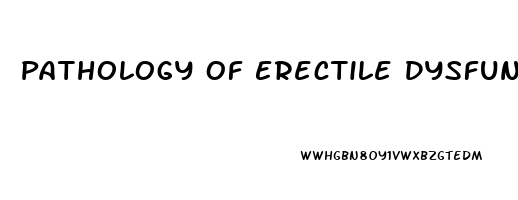 Pathology Of Erectile Dysfunction
