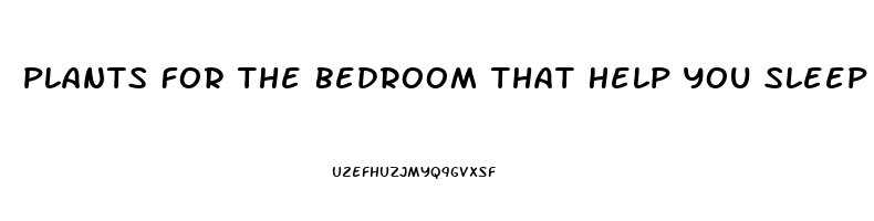 Plants For The Bedroom That Help You Sleep