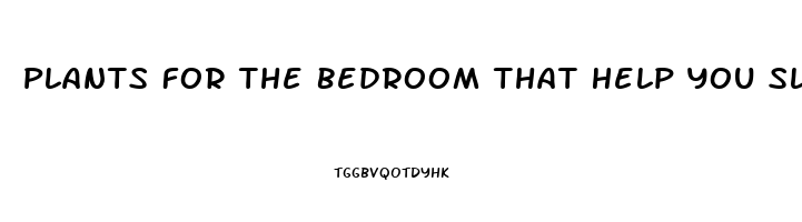 Plants For The Bedroom That Help You Sleep