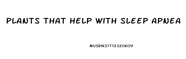 Plants That Help With Sleep Apnea