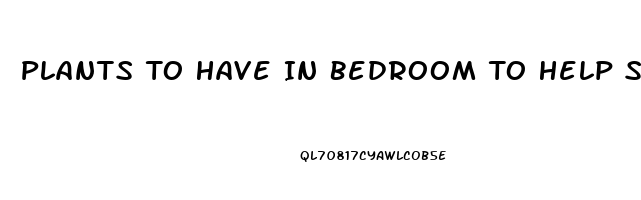 Plants To Have In Bedroom To Help Sleep