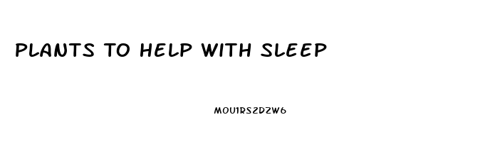 Plants To Help With Sleep