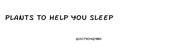 Plants To Help You Sleep