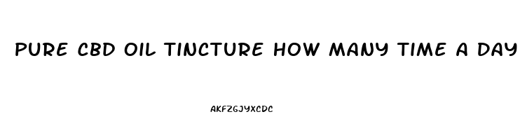 Pure Cbd Oil Tincture How Many Time A Day To Take