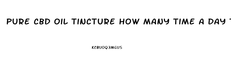 Pure Cbd Oil Tincture How Many Time A Day To Take