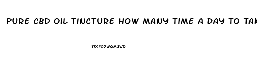 Pure Cbd Oil Tincture How Many Time A Day To Take