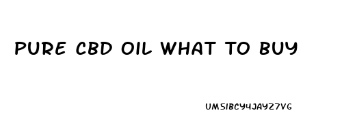 Pure Cbd Oil What To Buy