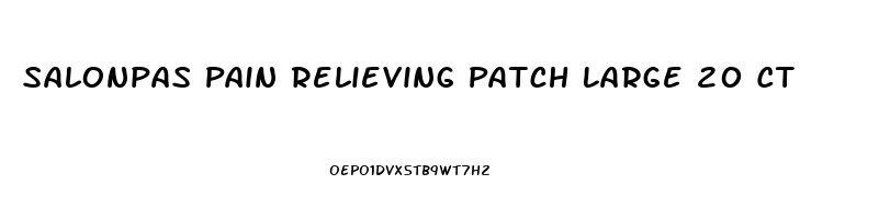 Salonpas Pain Relieving Patch Large 20 Ct