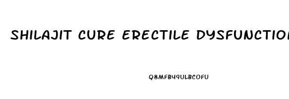 Shilajit Cure Erectile Dysfunction