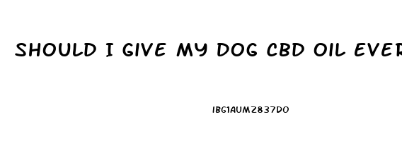 Should I Give My Dog Cbd Oil Everyday