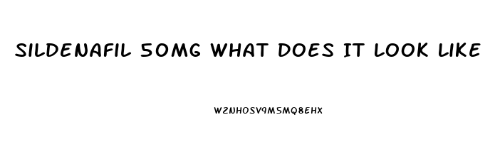 Sildenafil 50mg What Does It Look Like