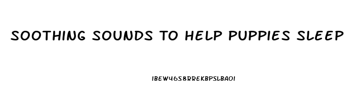 Soothing Sounds To Help Puppies Sleep