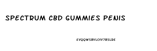 Spectrum Cbd Gummies Penis