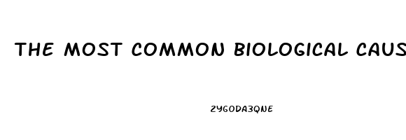 The Most Common Biological Cause Of Erectile Dysfunction Is