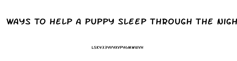 Ways To Help A Puppy Sleep Through The Night