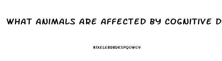 What Animals Are Affected By Cognitive Dysfunction