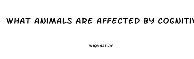 What Animals Are Affected By Cognitive Dysfunction