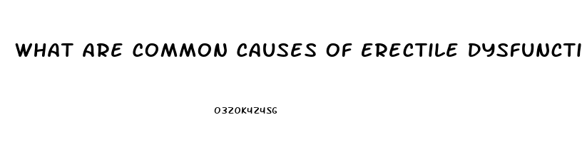 What Are Common Causes Of Erectile Dysfunction