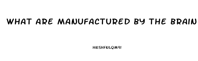 What Are Manufactured By The Brain To Help Relieve Pain