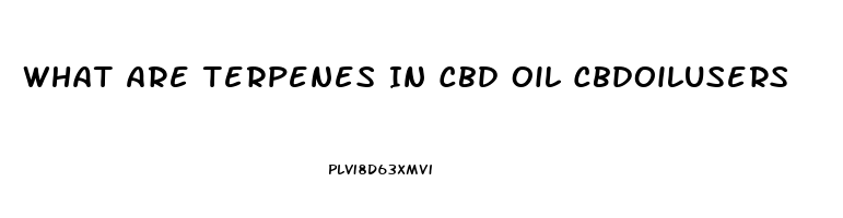 What Are Terpenes In Cbd Oil Cbdoilusers