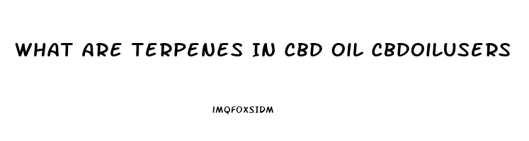 What Are Terpenes In Cbd Oil Cbdoilusers